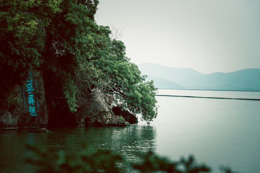 a body of water surrounded by trees and mountains