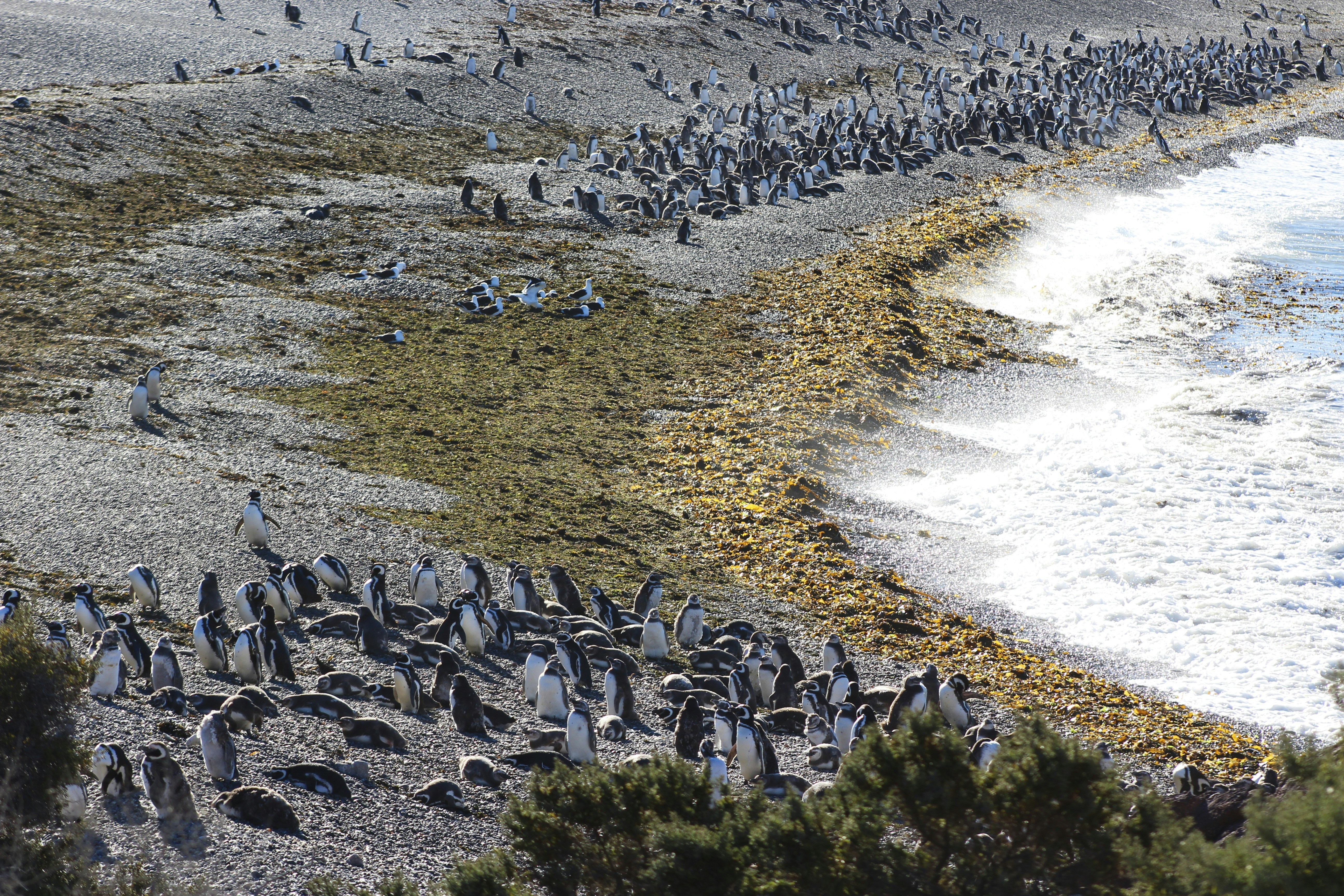 Photo by sergiomar73