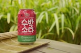 A can of watermelon soda is placed on a bamboo mat against a lush green background. The can is predominantly red with watermelon seeds depicted on it and features both Korean and English text. The setting is outdoors, with tall green grass in the background, suggesting a natural and refreshing atmosphere.