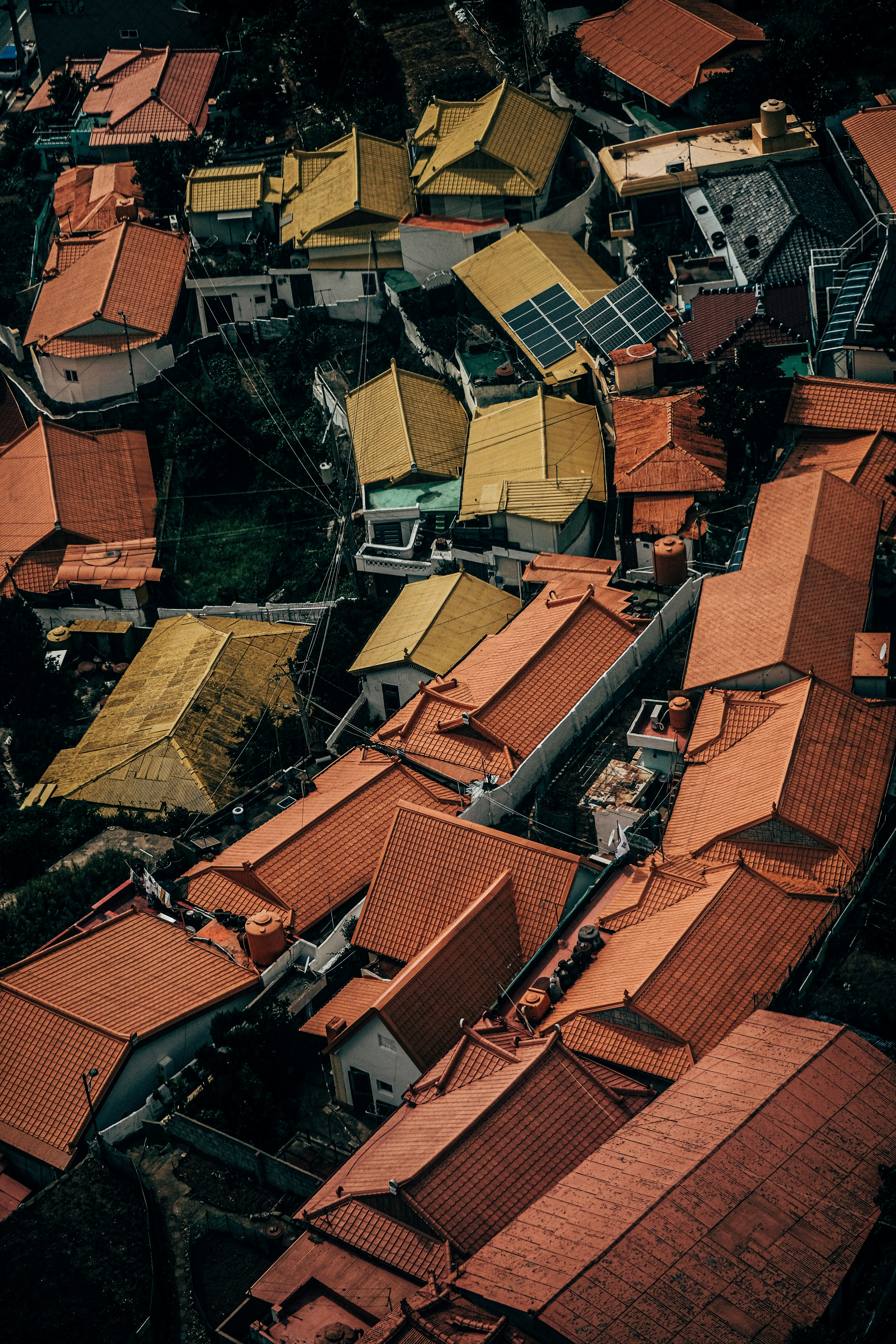 Photo by insungpandora