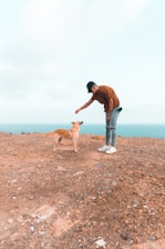 A person wearing a brown shirt, jeans, and a cap bends over to offer a treat to a tan dog on a rocky terrain. The background features a wide expanse of blue ocean under a pale sky.