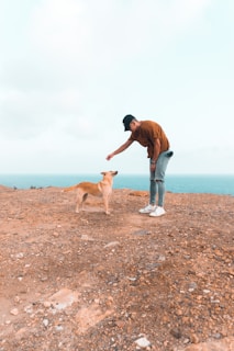 A person wearing a brown shirt, jeans, and a cap bends over to offer a treat to a tan dog on a rocky terrain. The background features a wide expanse of blue ocean under a pale sky.