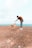 A person wearing a brown shirt, jeans, and a cap bends over to offer a treat to a tan dog on a rocky terrain. The background features a wide expanse of blue ocean under a pale sky.