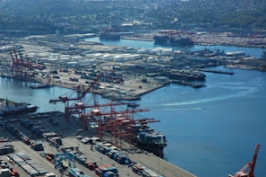 aerial photography of harbor