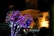 Several transparent balloons illuminated with colorful LED lights float against a nighttime city backdrop. The balloons feature cartoon characters and emit a magical, festive glow. The out-of-focus background reveals softly lit buildings with a classic architectural style.
