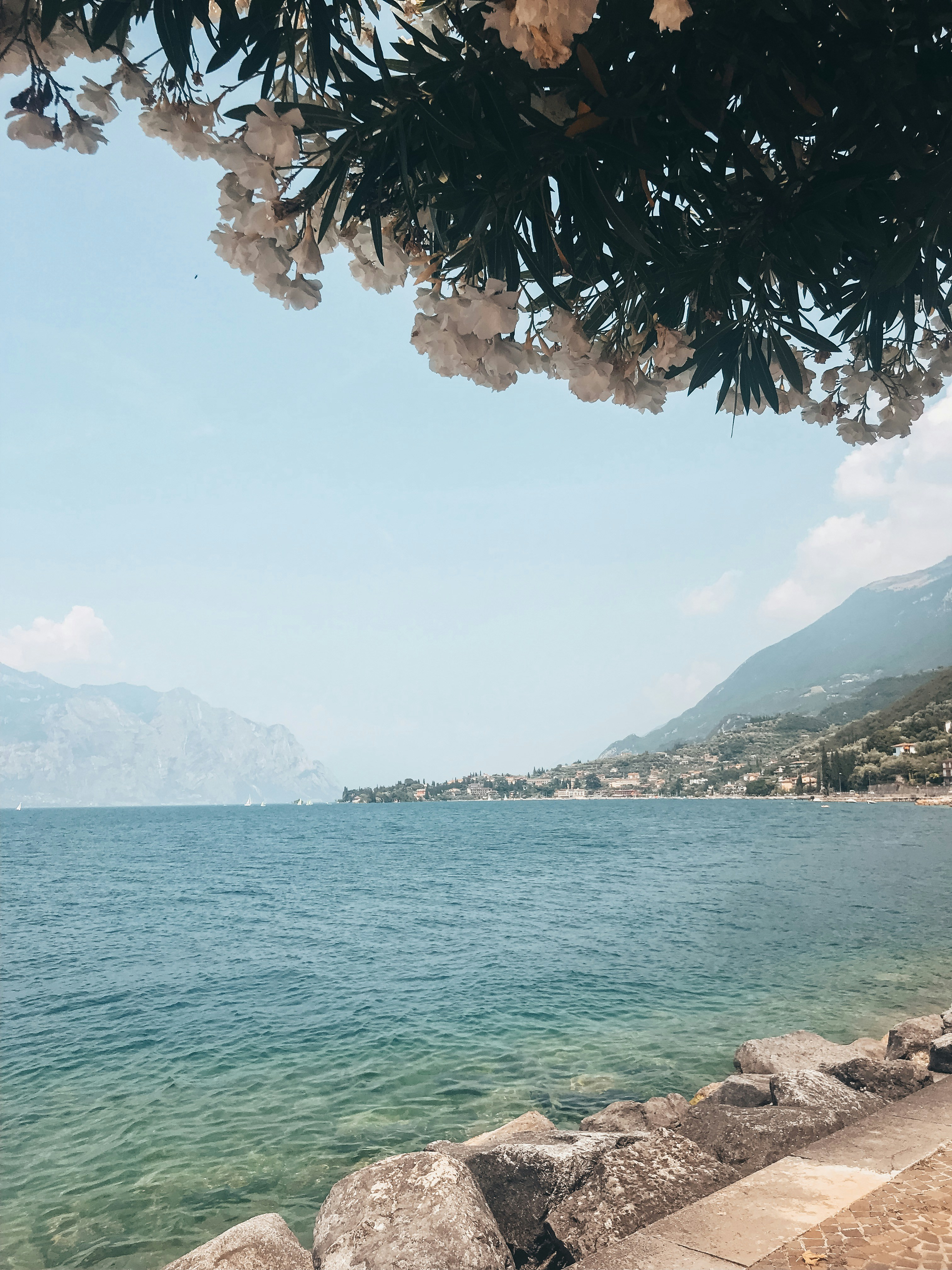Photo by crinaparasca