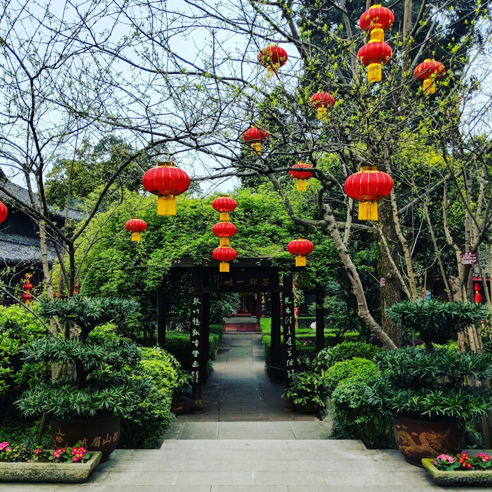 hanging red Chinese lanterns near trees and tunnel during day