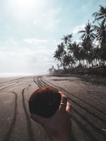 A hand holding a coconut is positioned in the foreground, with a sandy beach extending into the distance. Tire tracks are visible on the sand, leading towards the horizon. Tall palm trees line the side of the beach under a bright, partly cloudy sky.