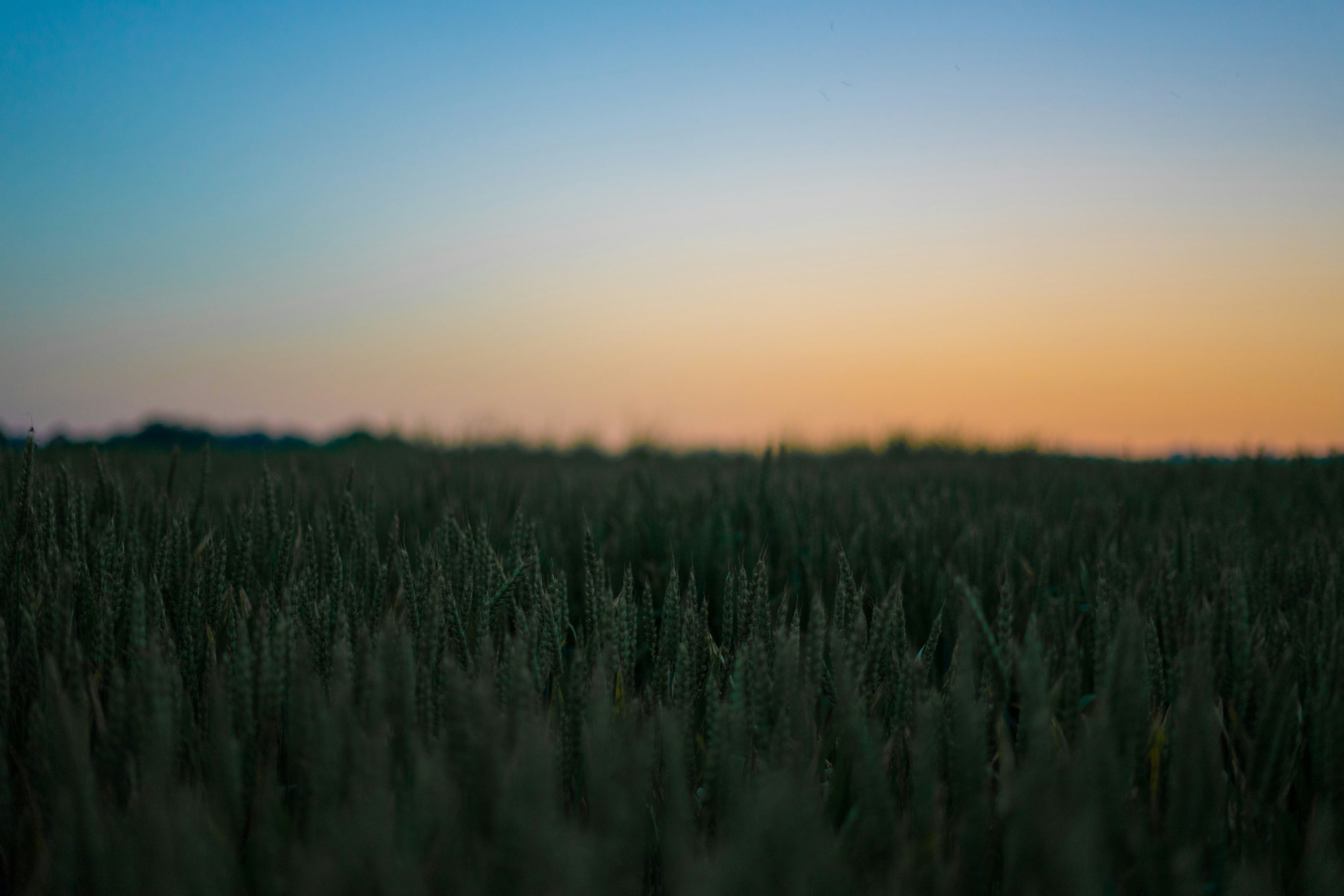 Photo by virussinside