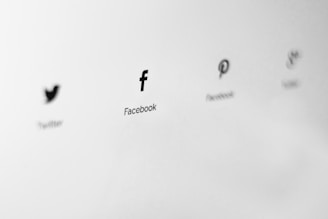 Logos of social media platforms are displayed in a minimalist style on a light gray background. The logos are aligned horizontally, and each is labeled with the name of the corresponding platform.