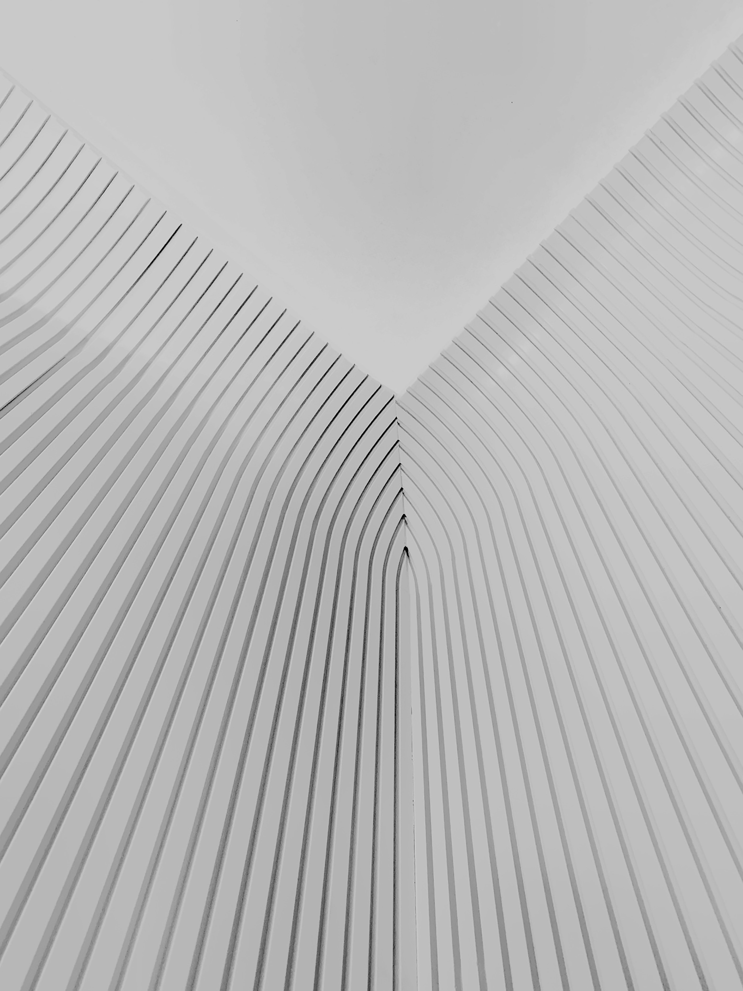 Photo by concepttual