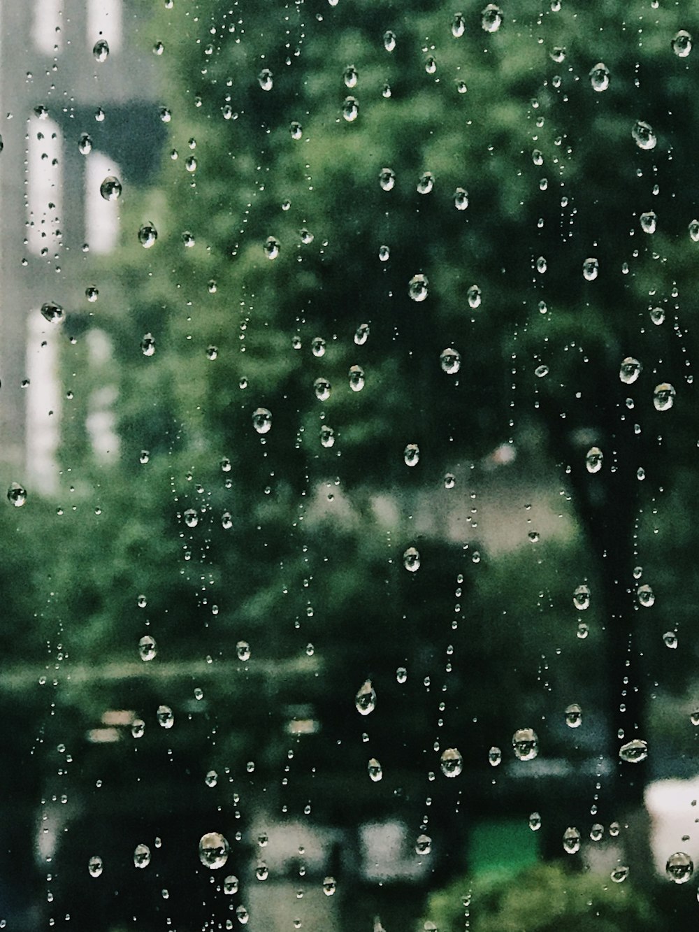 water dew drop on window