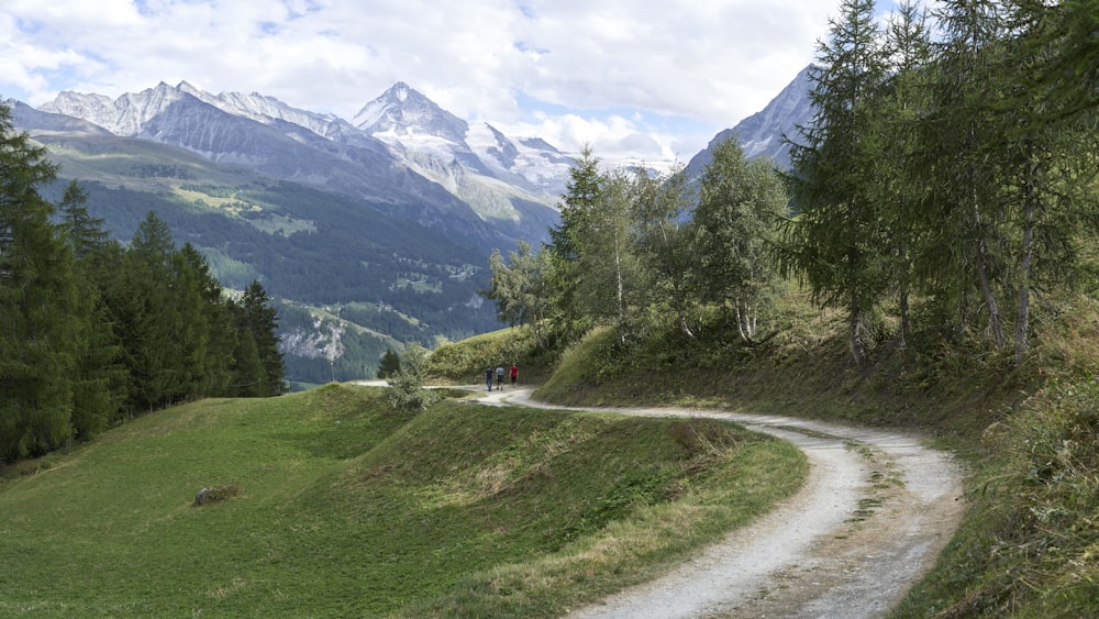 a dirt road winding through a lush green forest