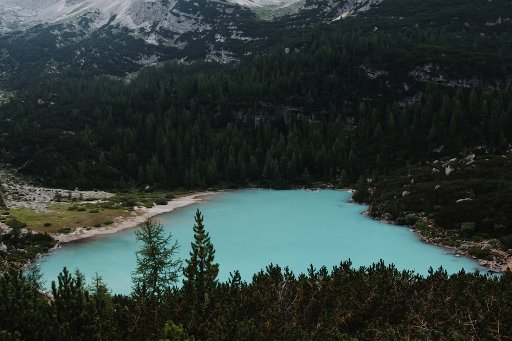 calm lake during daytime