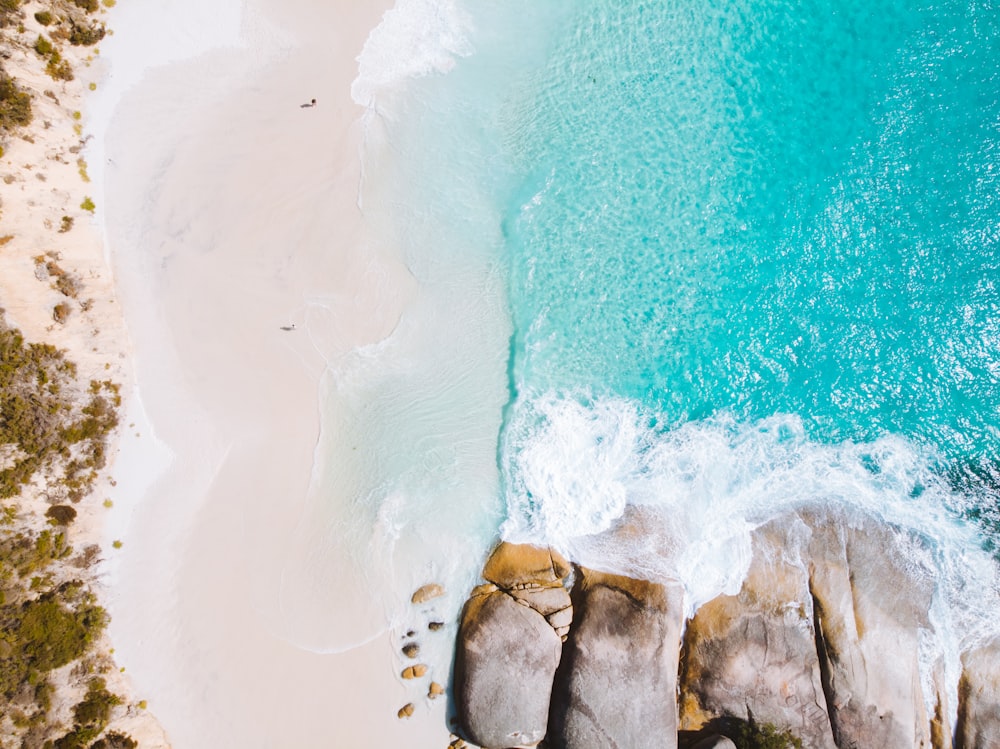 aerial view of sea shore