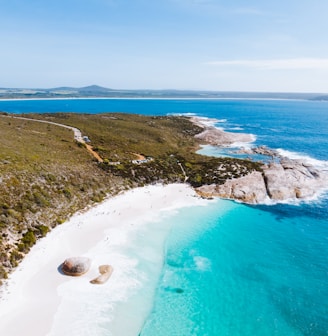 aerial photo of shore