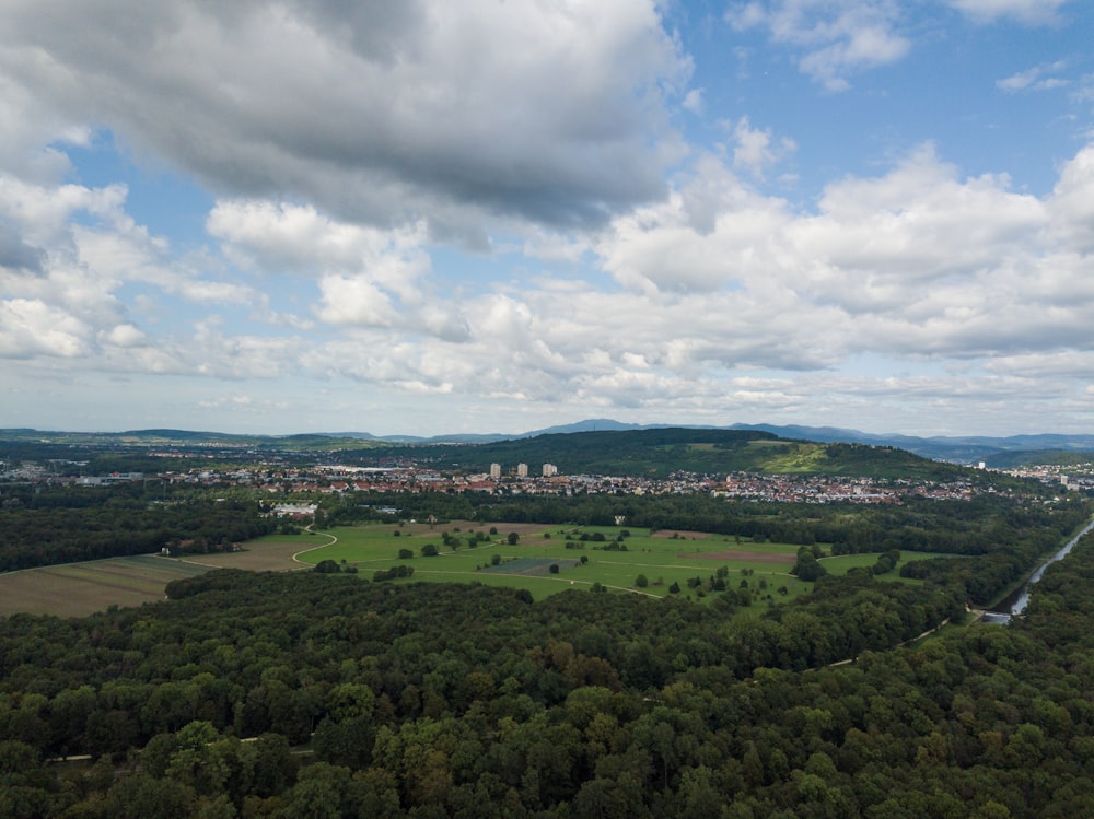 aerial photography of tree