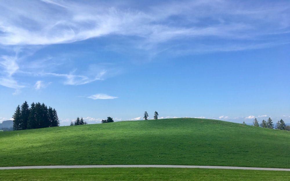 green grass field