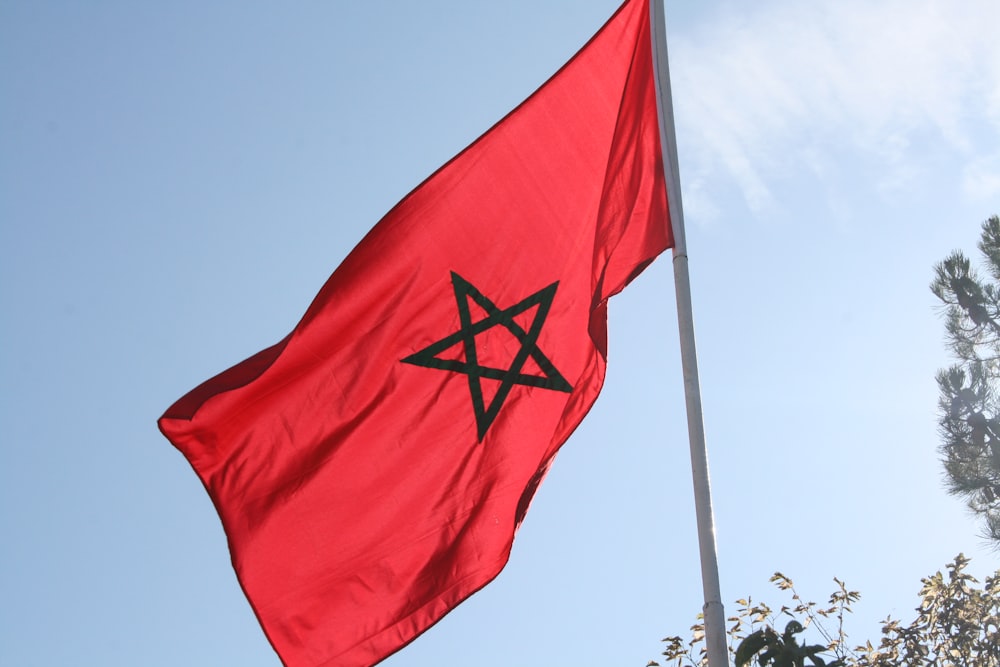 red and black star of david flag photo – Free Red Image on Unsplash
