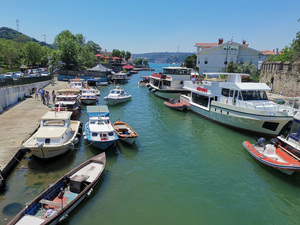 boats on dock at daytime