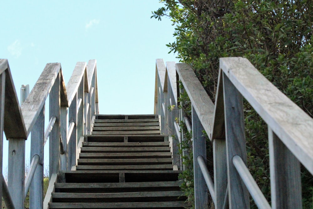 brown wooden stairs