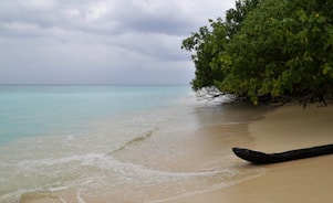 Andaman & Nicobar