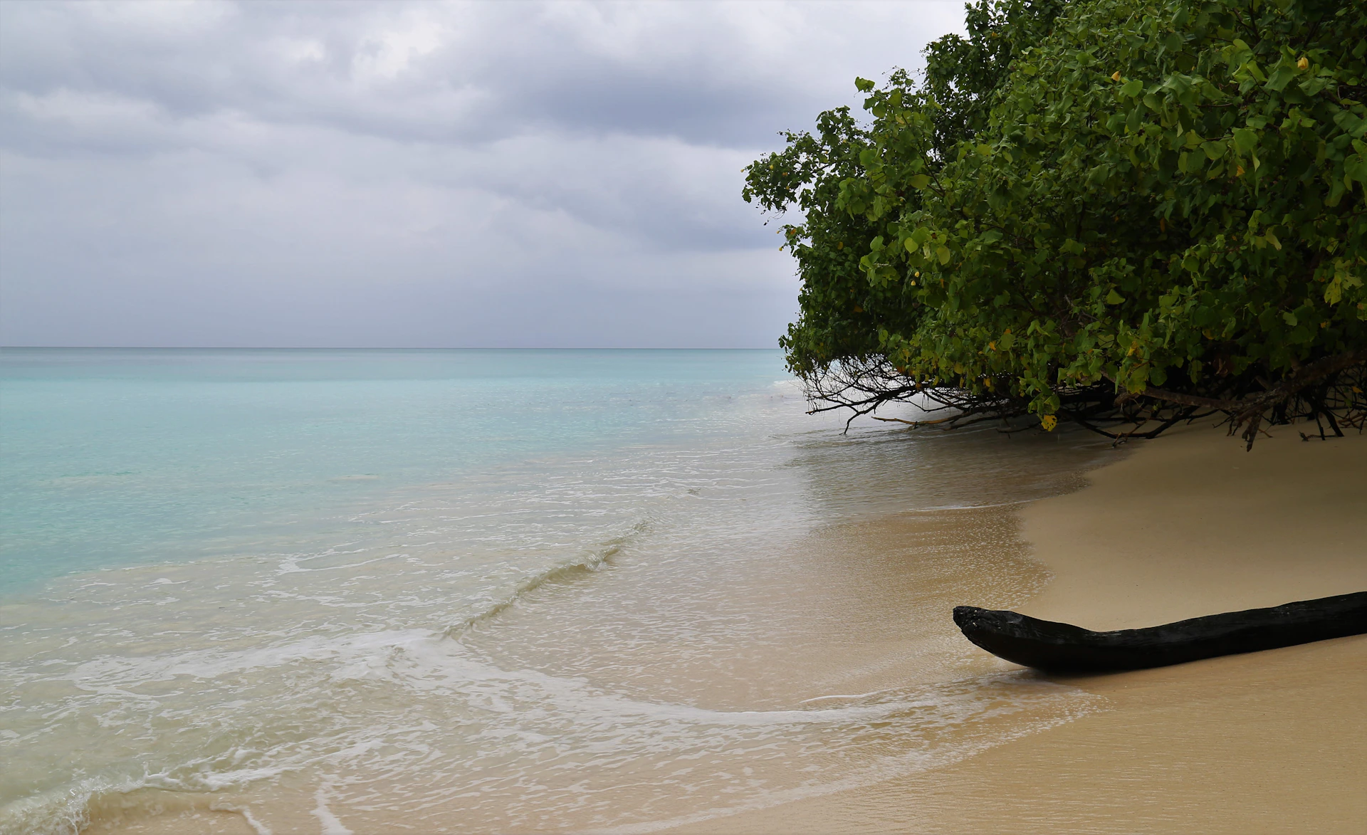 seashore during daytime