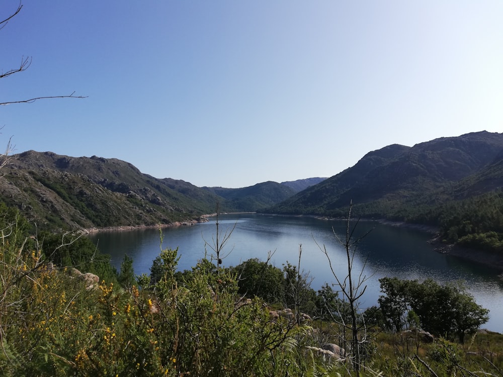 body of water surrounded by green mountains