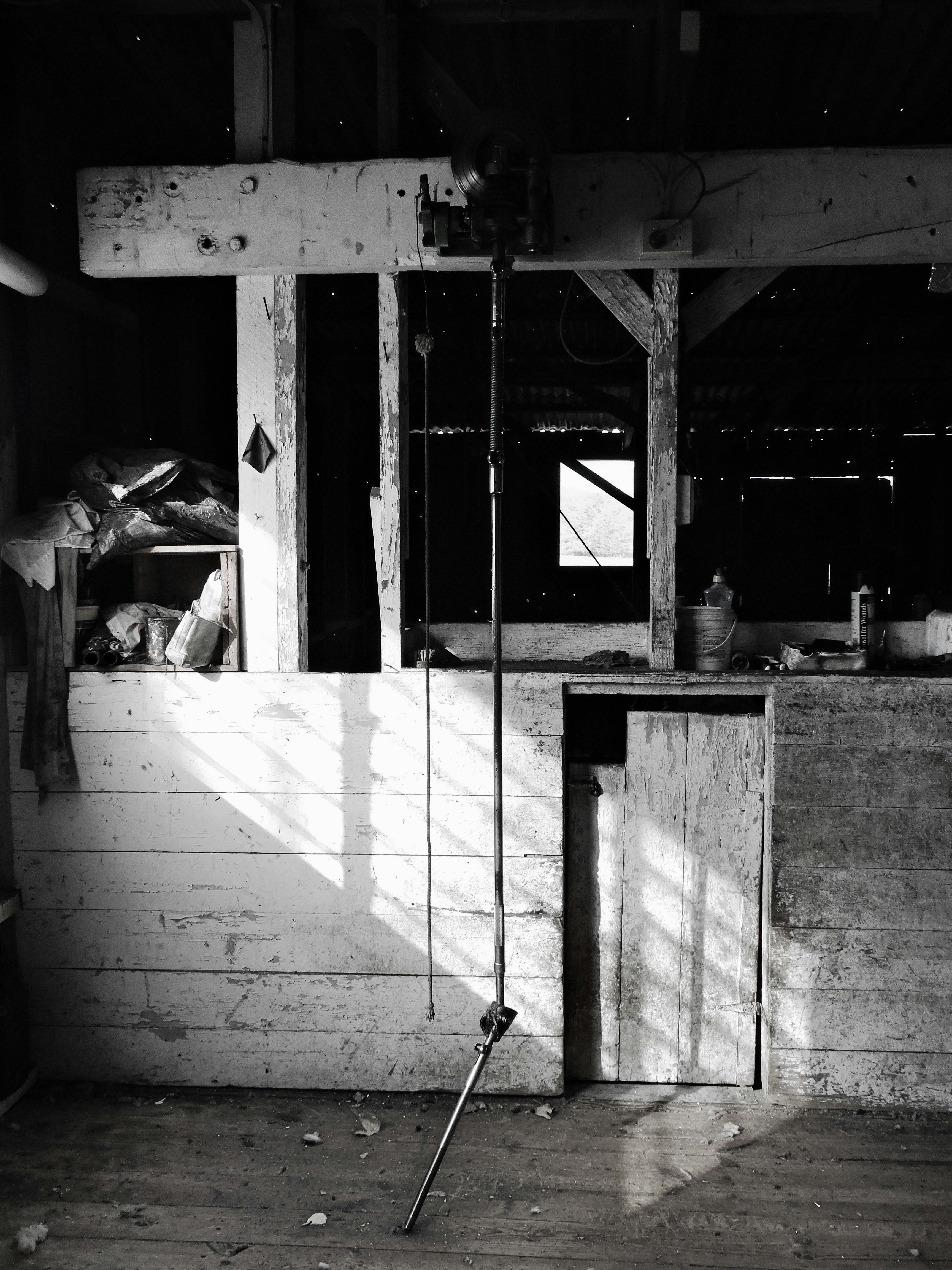 Photo by laurenhay23