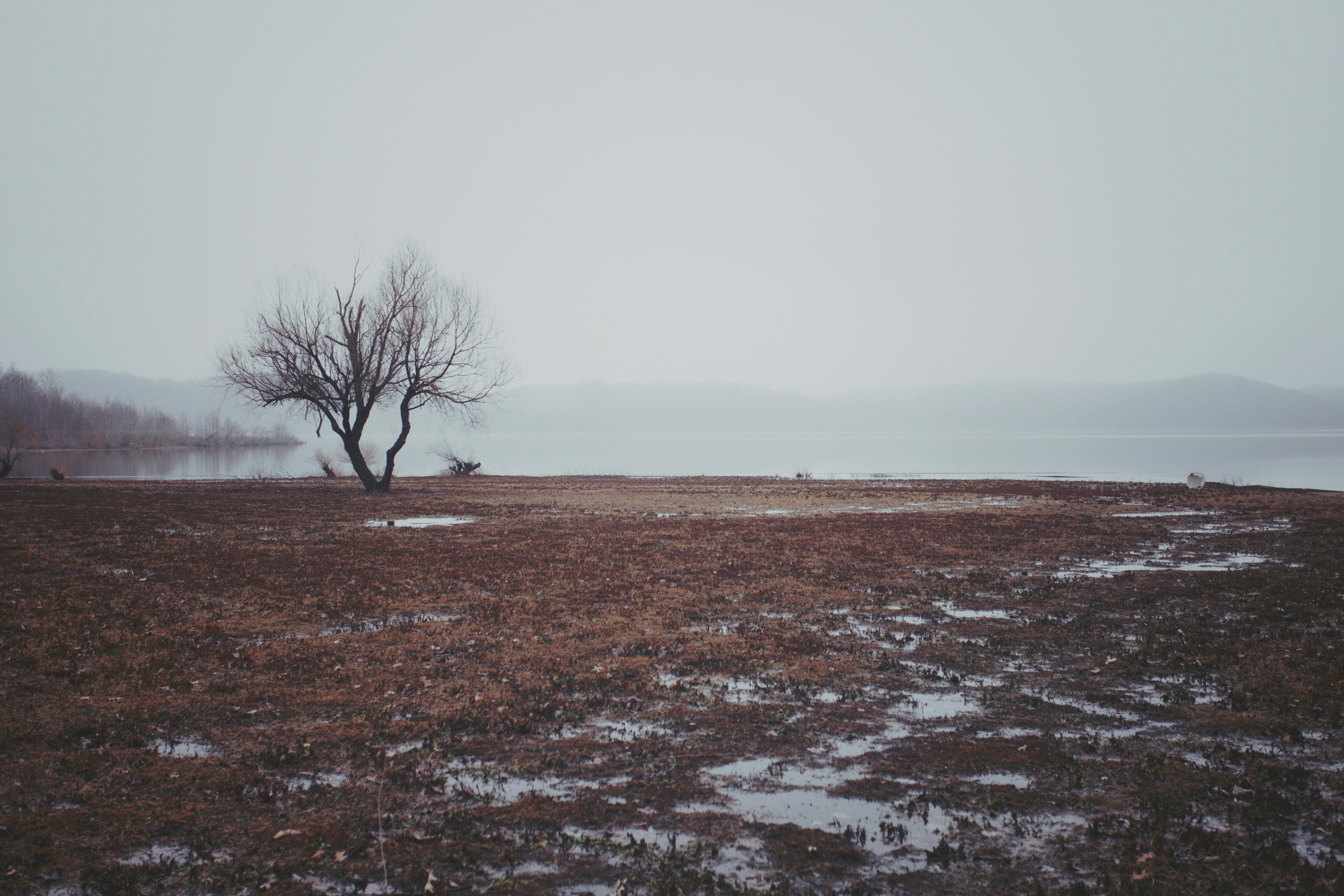 The Silence Would Be Deafening (image credits: unsplash)