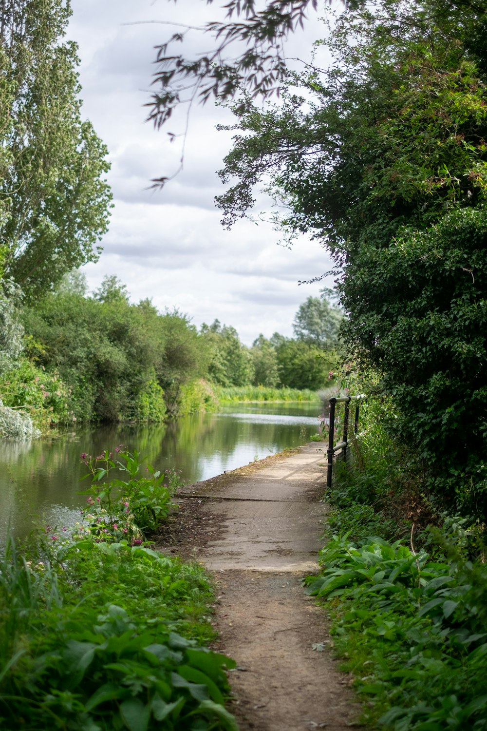 pathway beside body of water surrounded by green trees during daytime