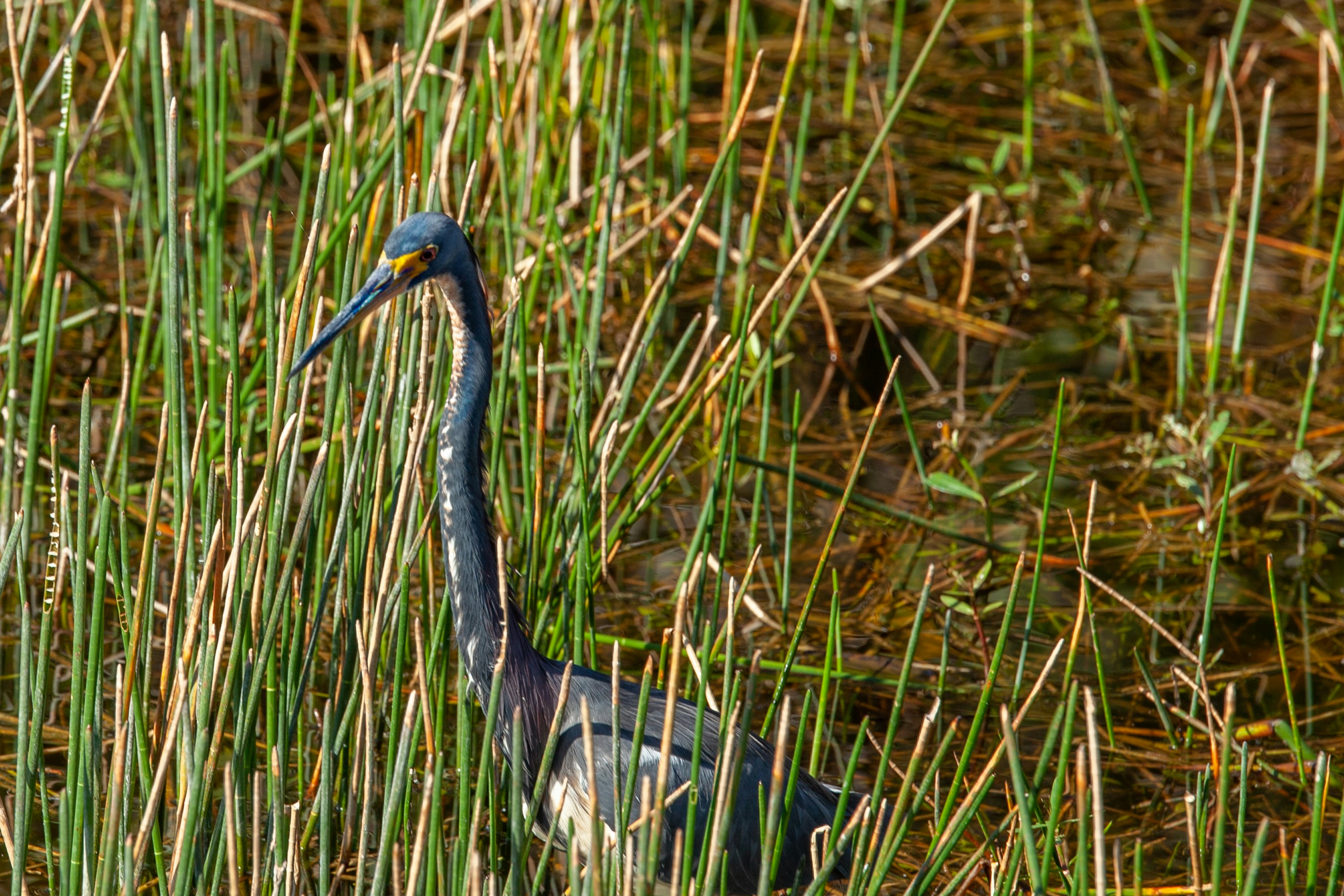 Photo by kenographyone