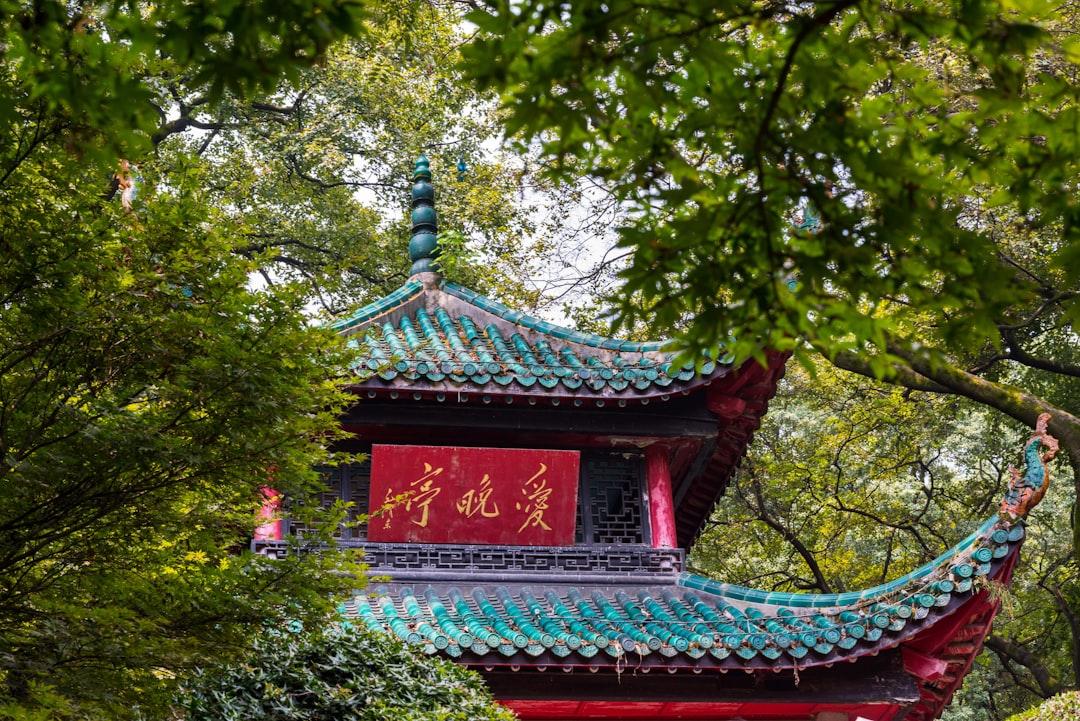 gray and red pagoda surrounded green trees during daytime