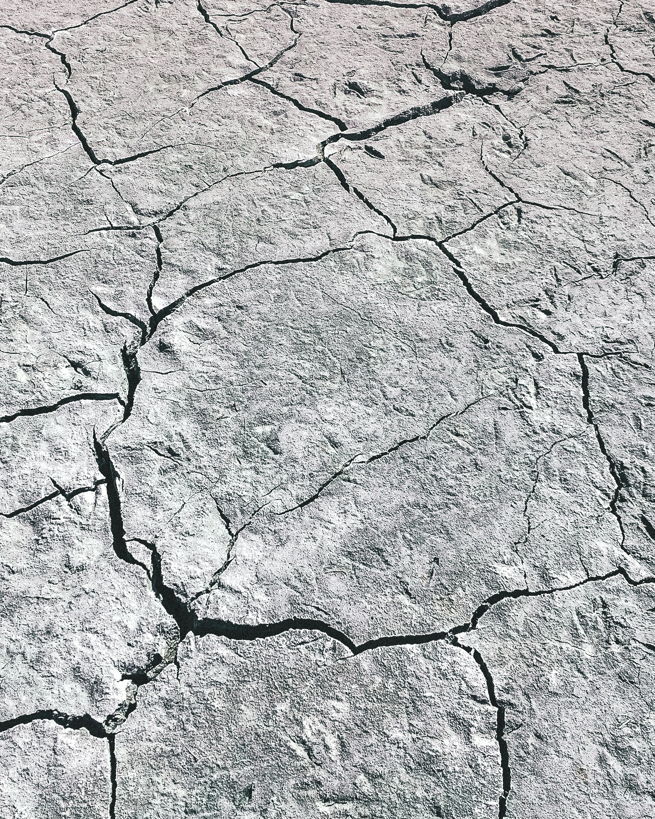 Photo by danielczippan