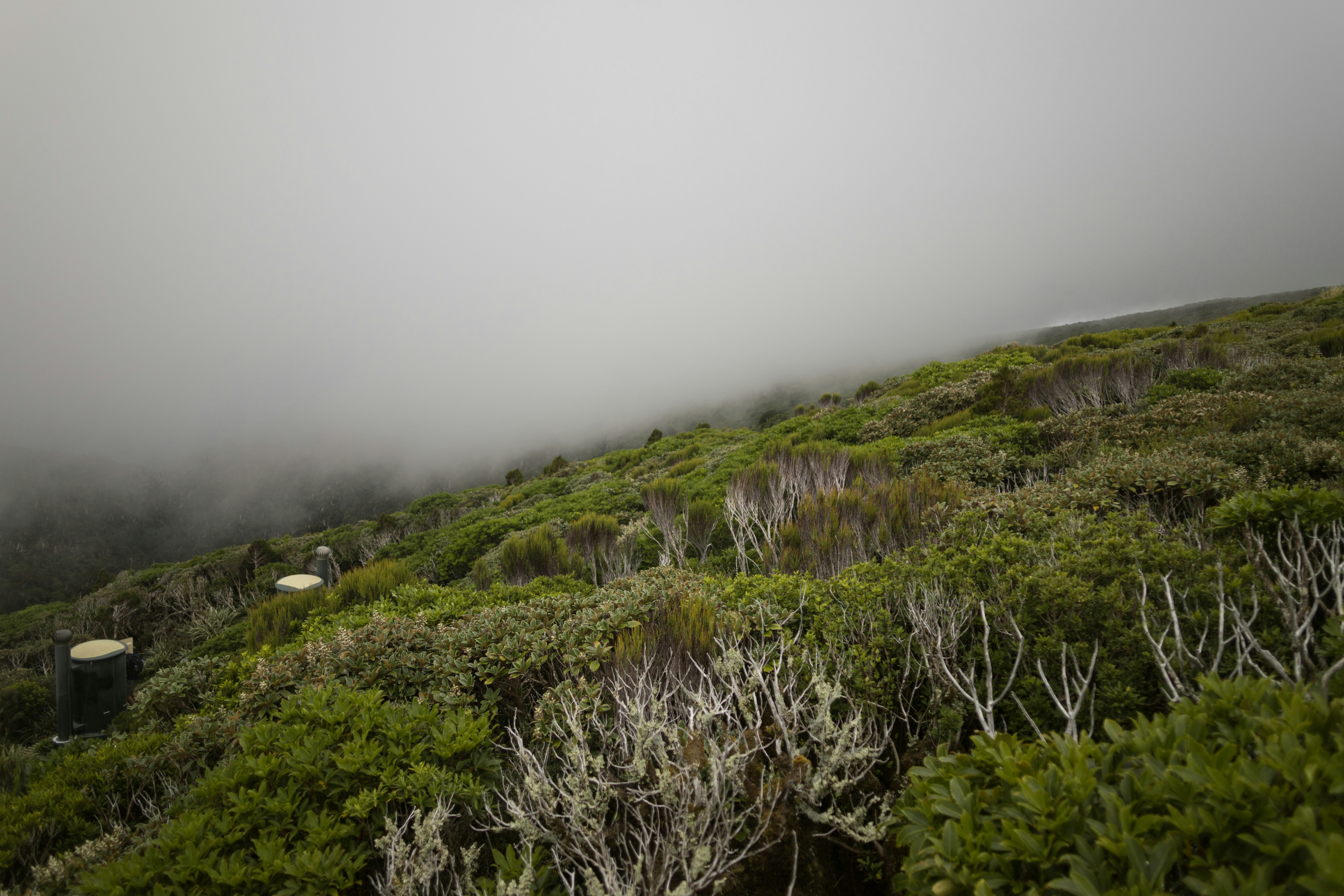 Photo by yoannlaheurte