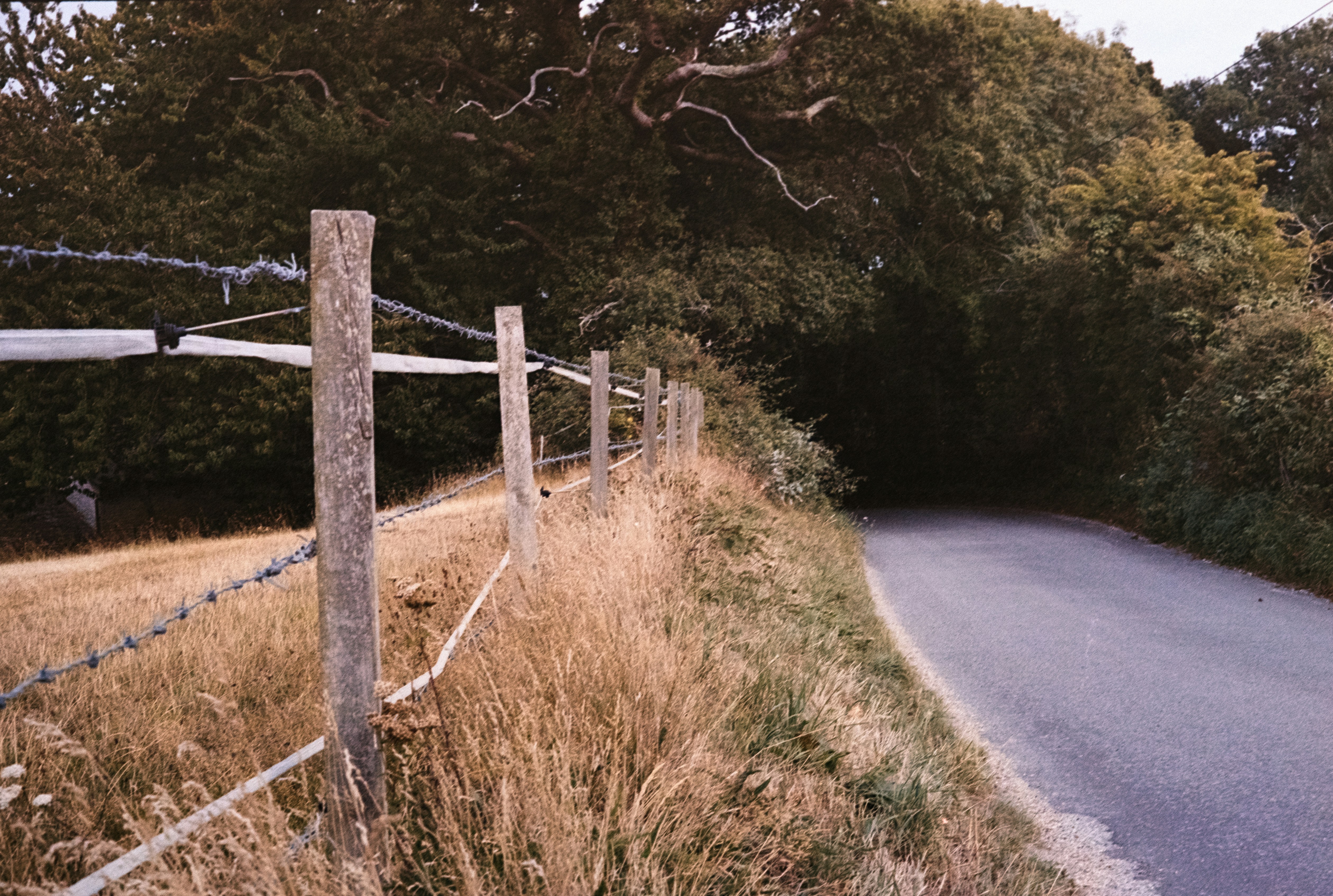 Photo by anniespratt