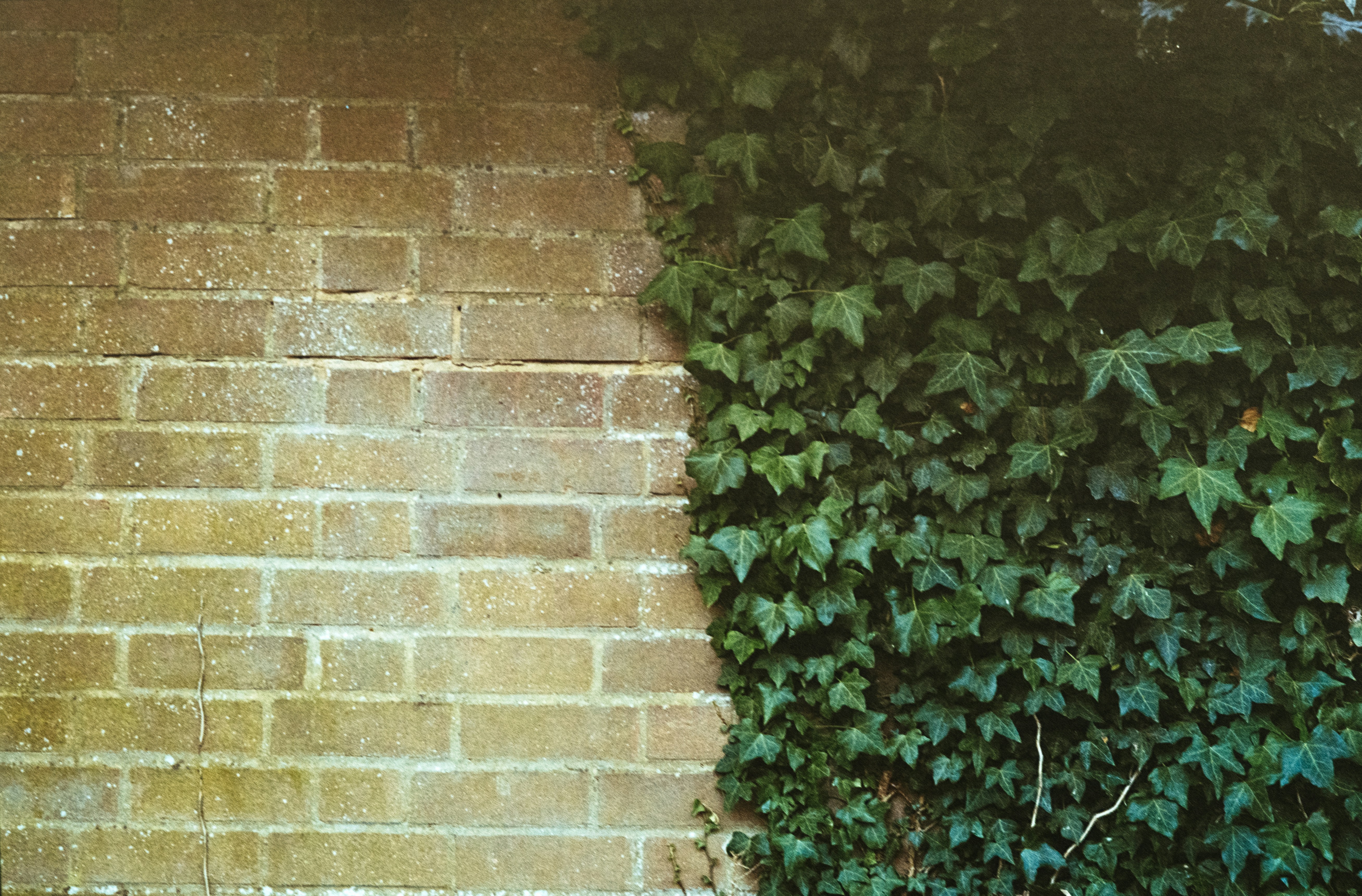 Photo by anniespratt