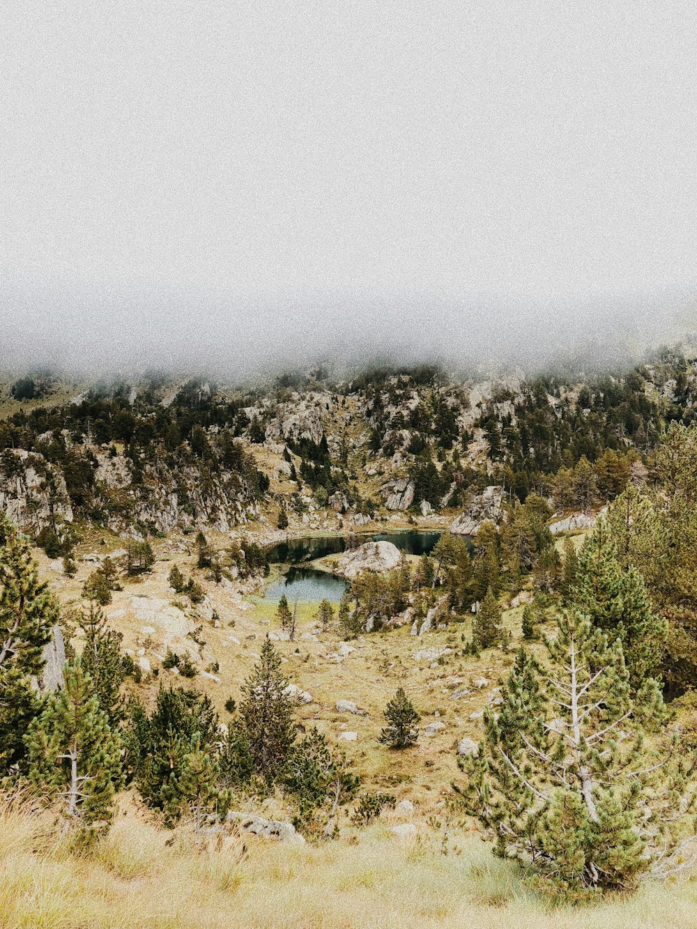 a foggy landscape with a small pond in the middle