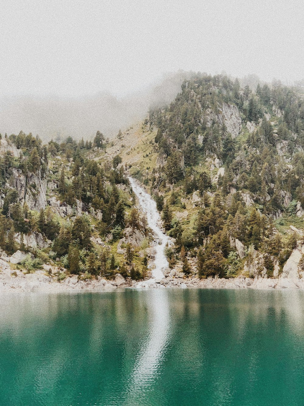 trees and body of water under white sky