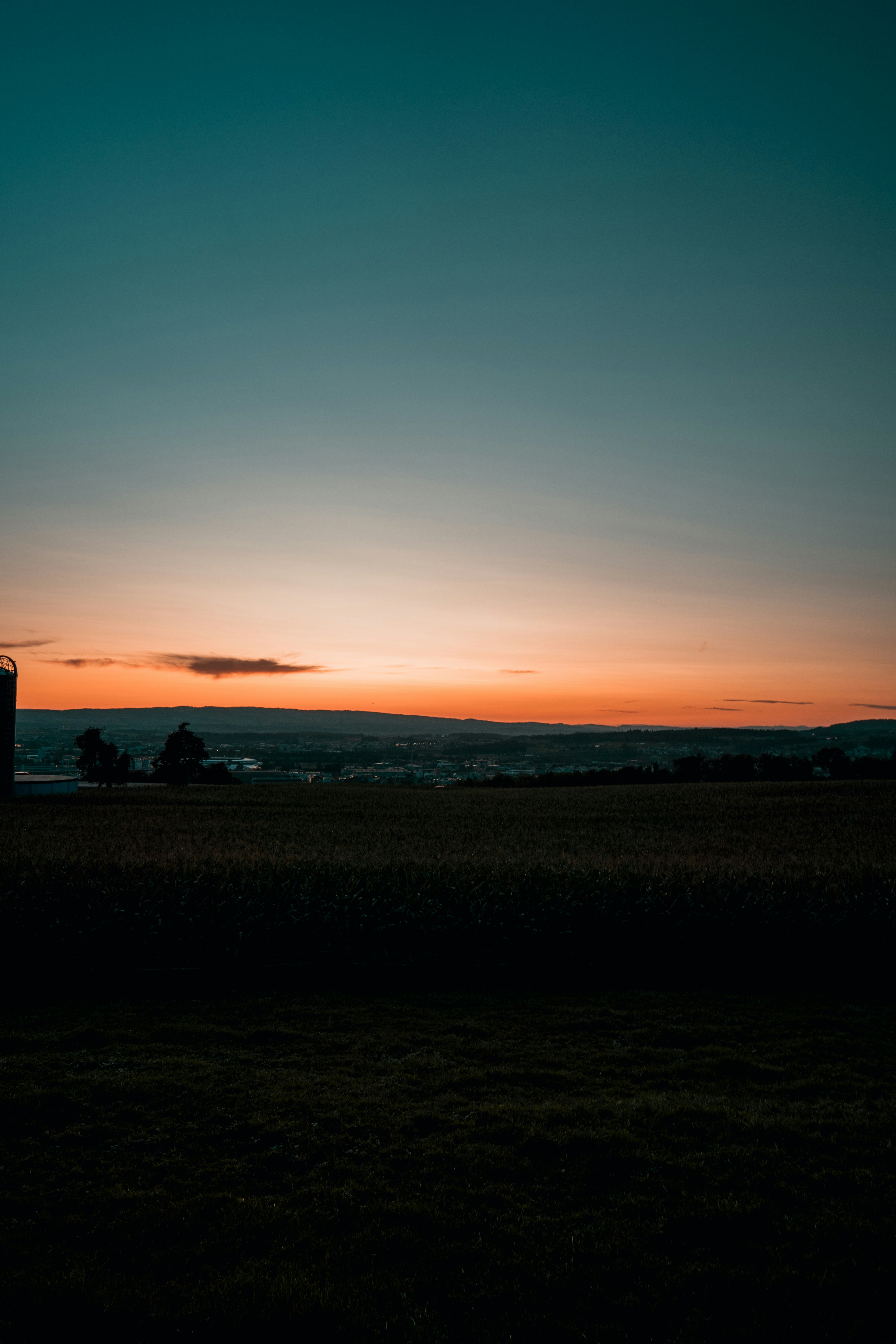 Photo by timmeyer