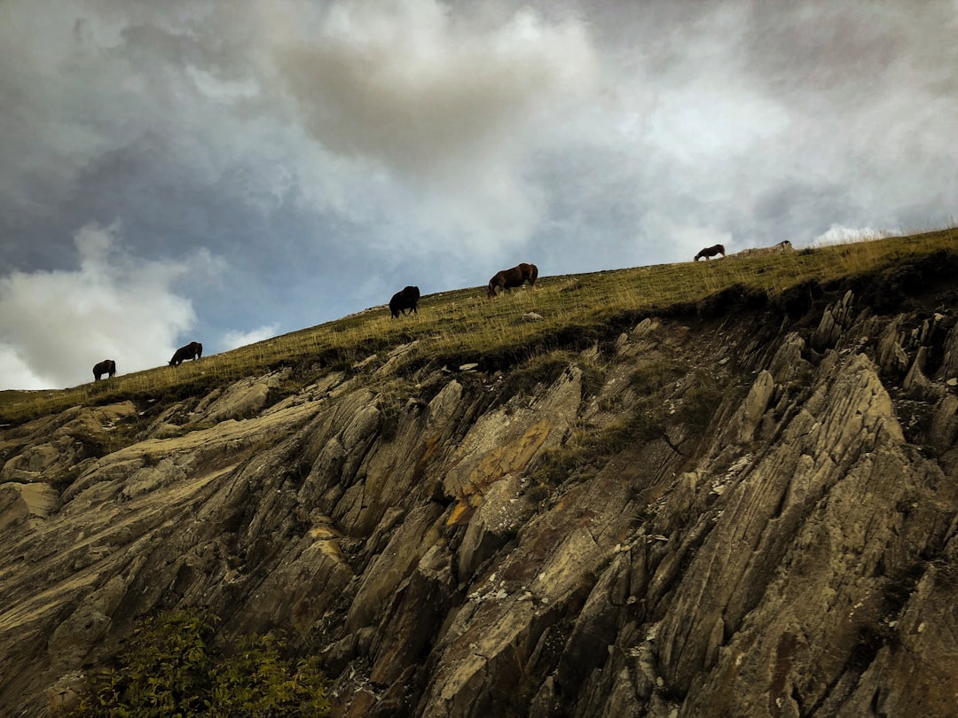 travelers stories about Hill in Carr. del Puerto de Larrau, Spain