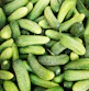 flat-lay photography of green cucumbers