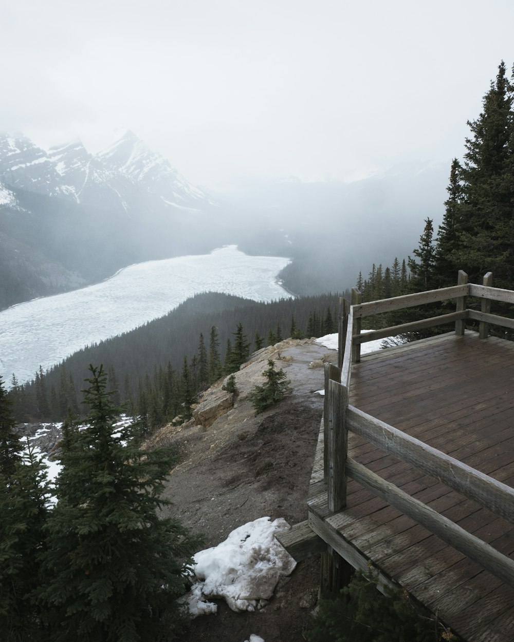 brown wooden dock