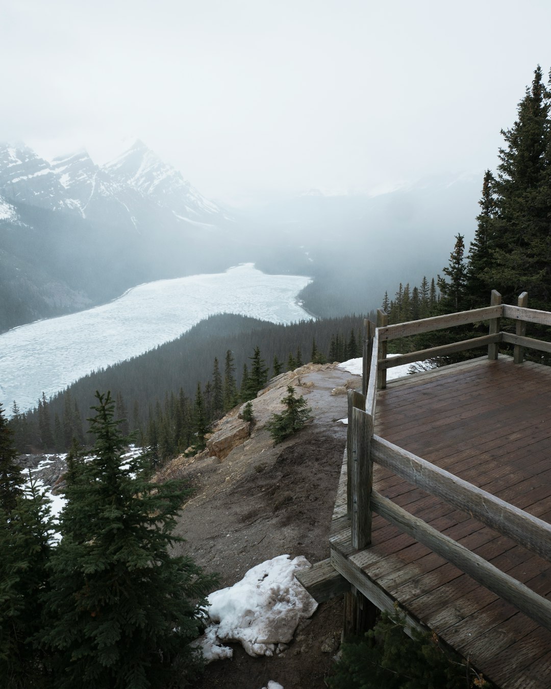 brown wooden dock