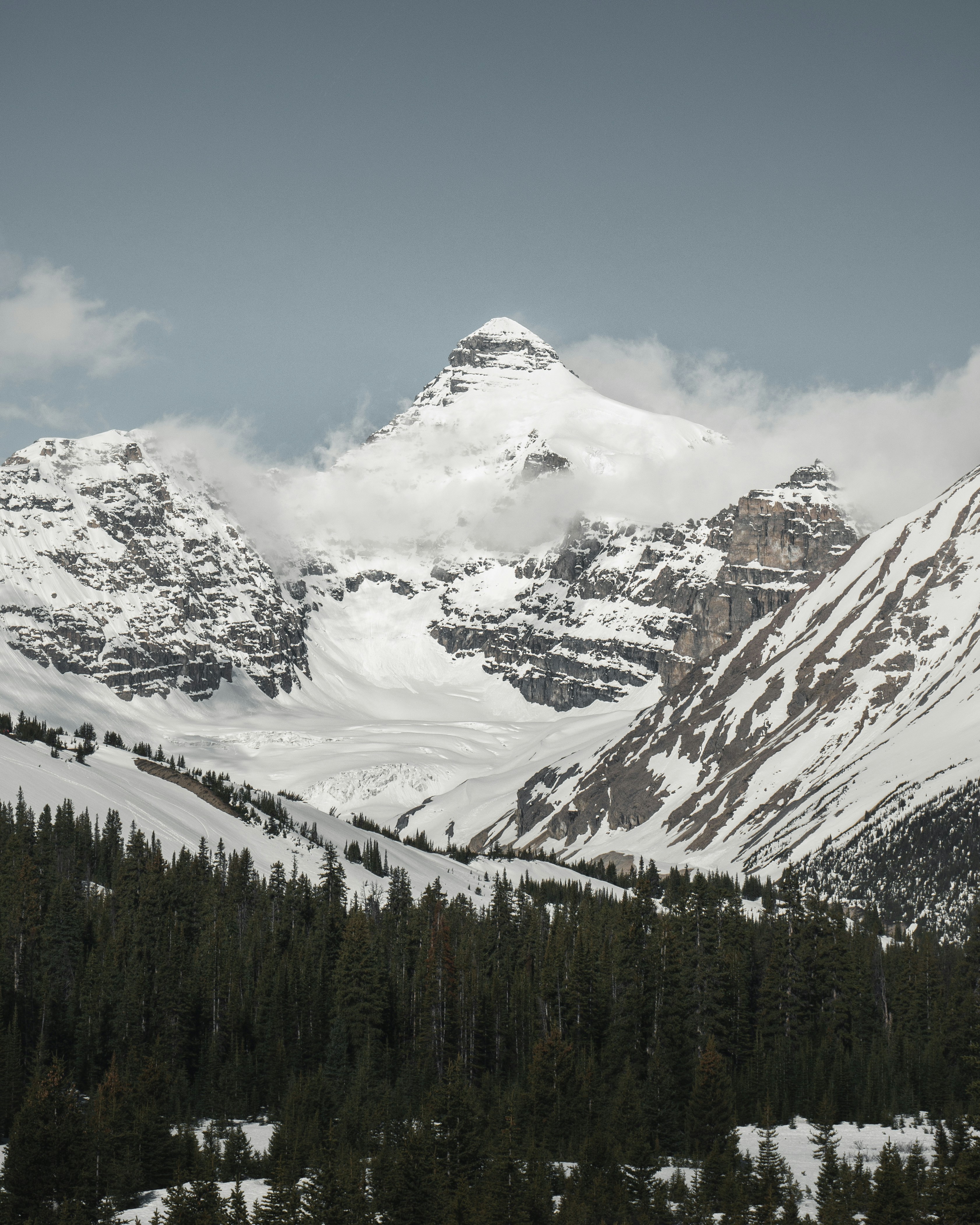 Photo by yannallegre