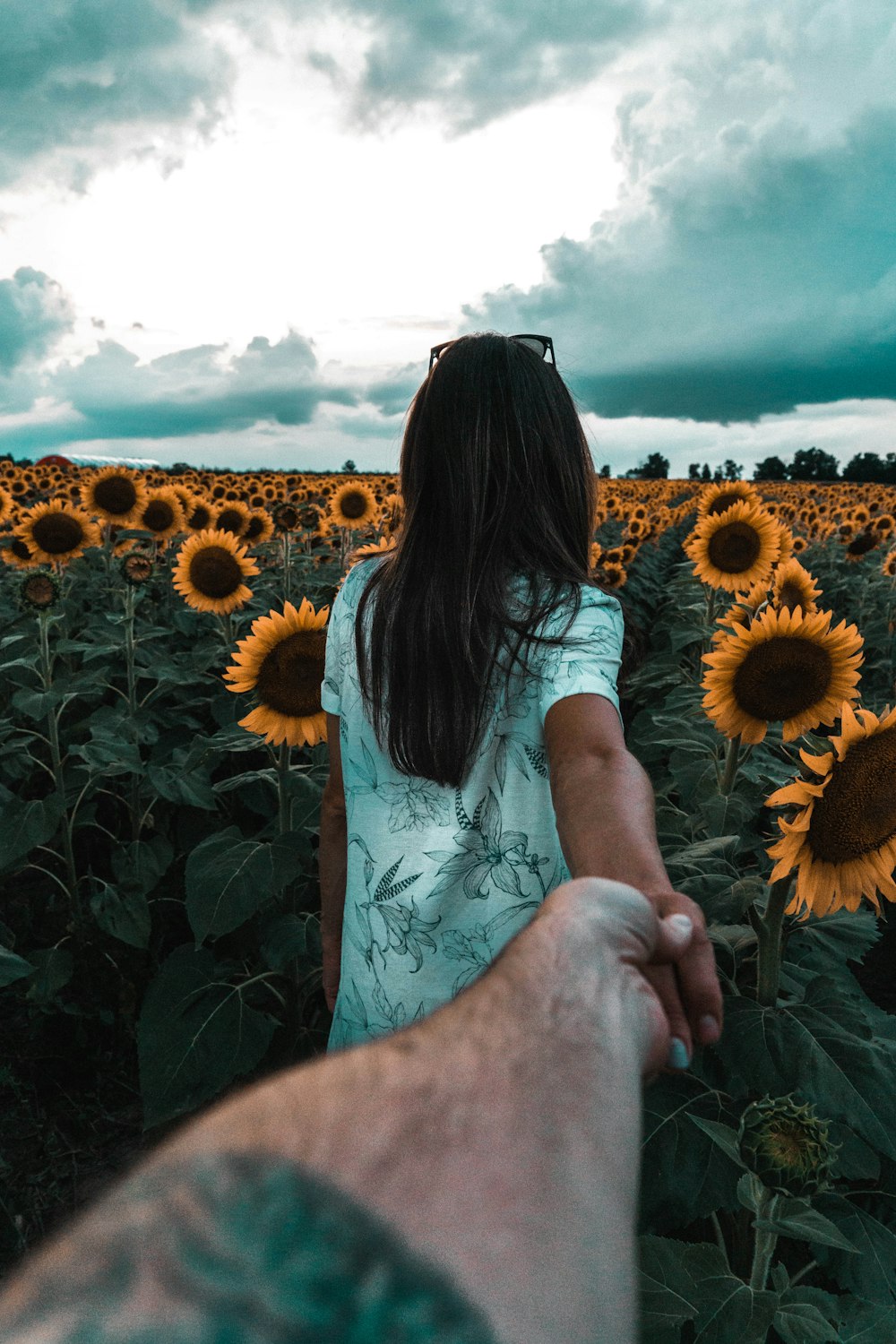 couple holding hands near sunflower field