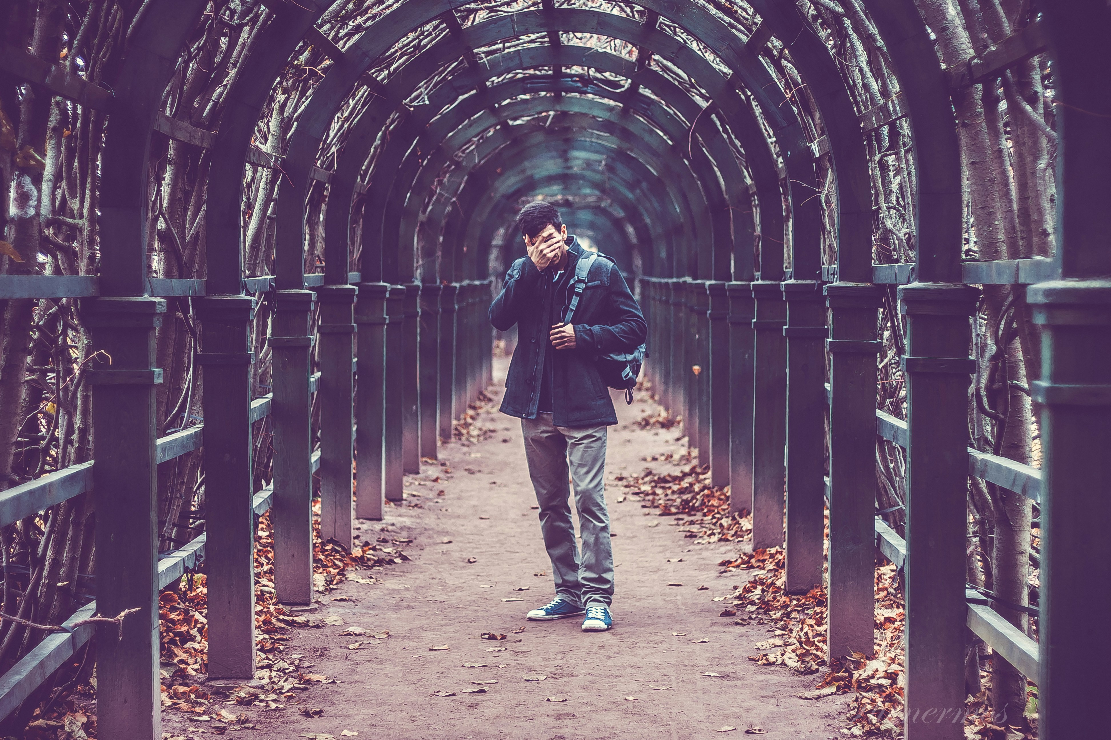 Photo by ilienerwise