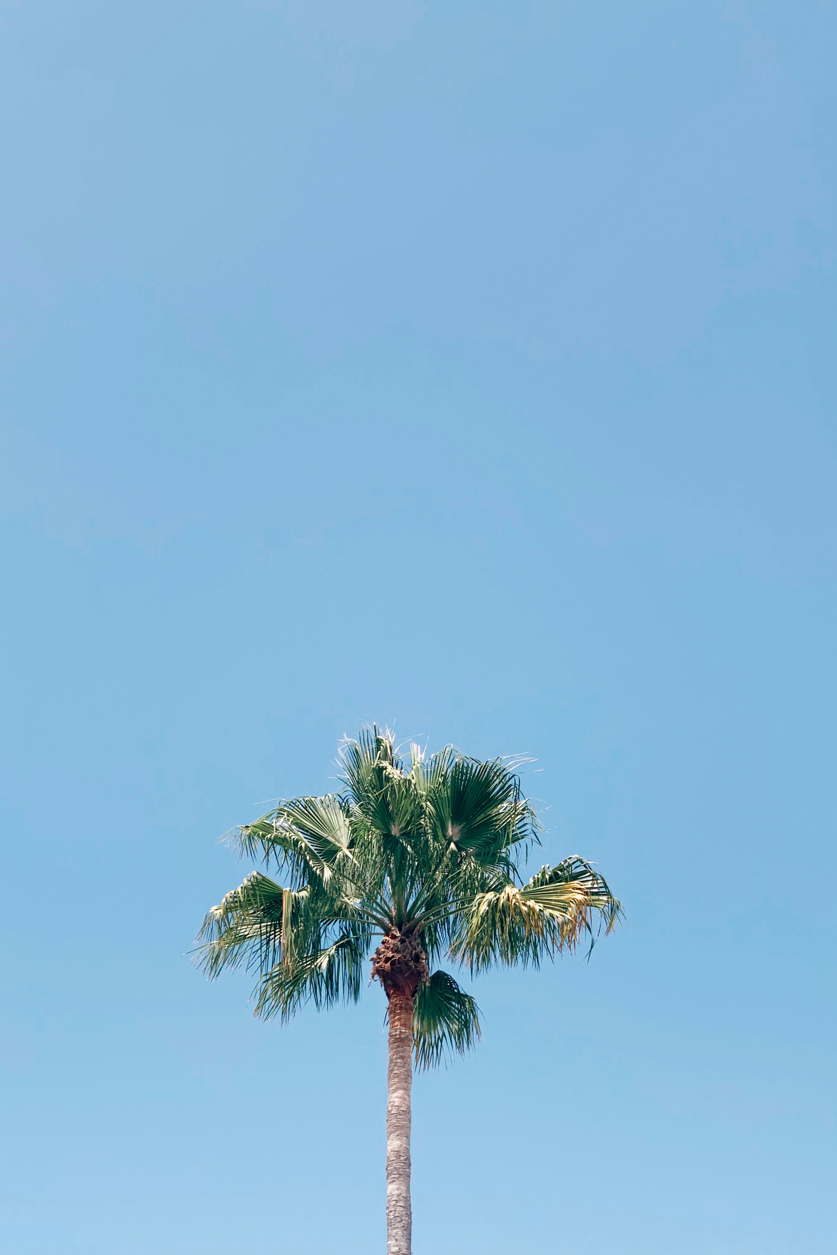 Photo by matthewlejune
