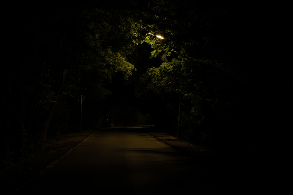 Route en béton gris entourée de grands arbres verts pendant la nuit