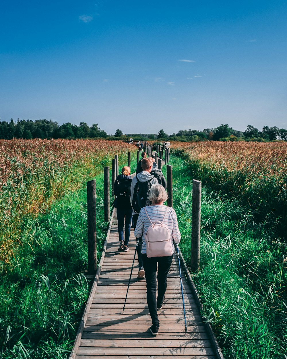 people waking on wooden pathway during daytime